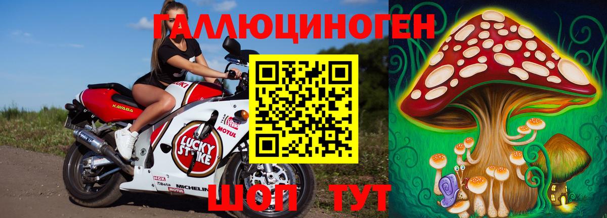 Псилоцибиновые грибы прущие грибы  Вход с VPN  Новотроицк 